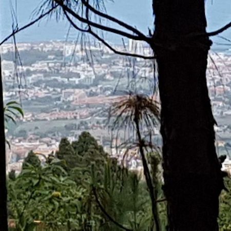 Finca La Casita La Orotava Εξωτερικό φωτογραφία