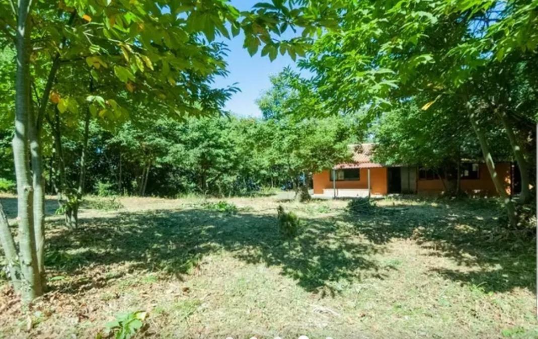 Finca La Casita La Orotava Εξωτερικό φωτογραφία