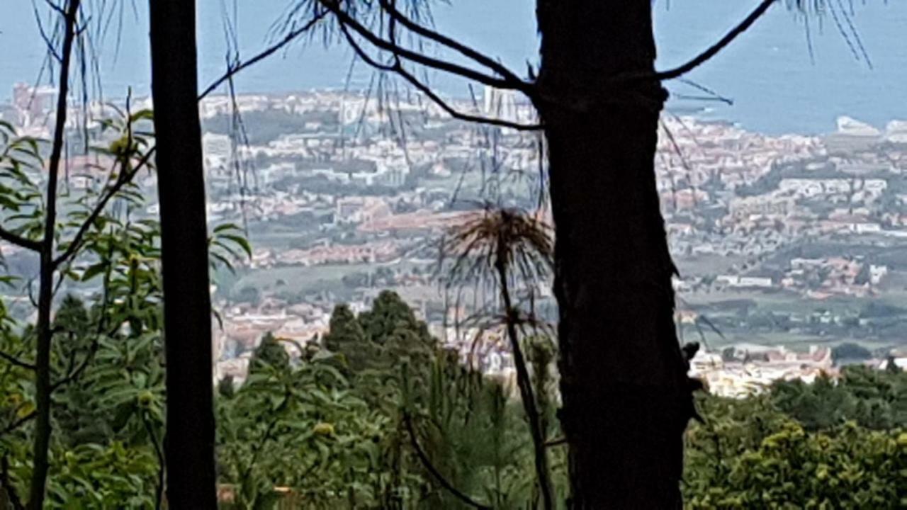 Finca La Casita La Orotava Εξωτερικό φωτογραφία