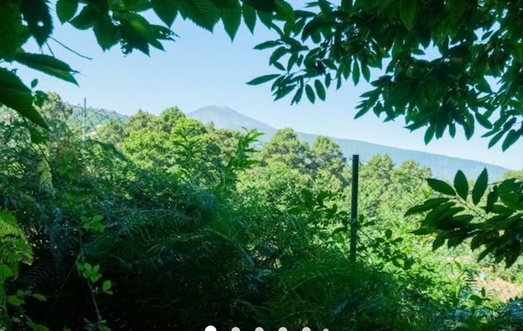 Finca La Casita La Orotava Εξωτερικό φωτογραφία